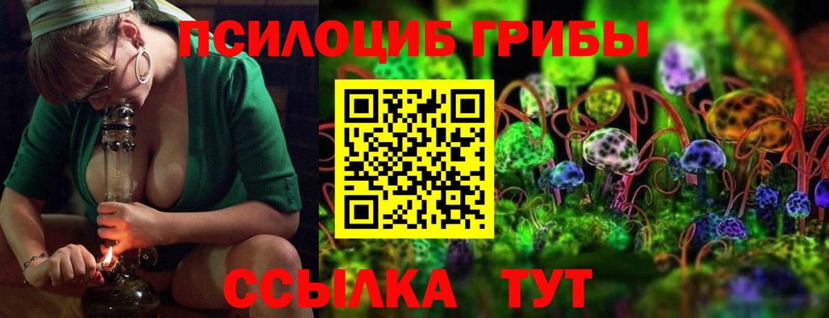 Псилоцибиновые грибы Psilocybe  Вход с VPN  Отрадный 