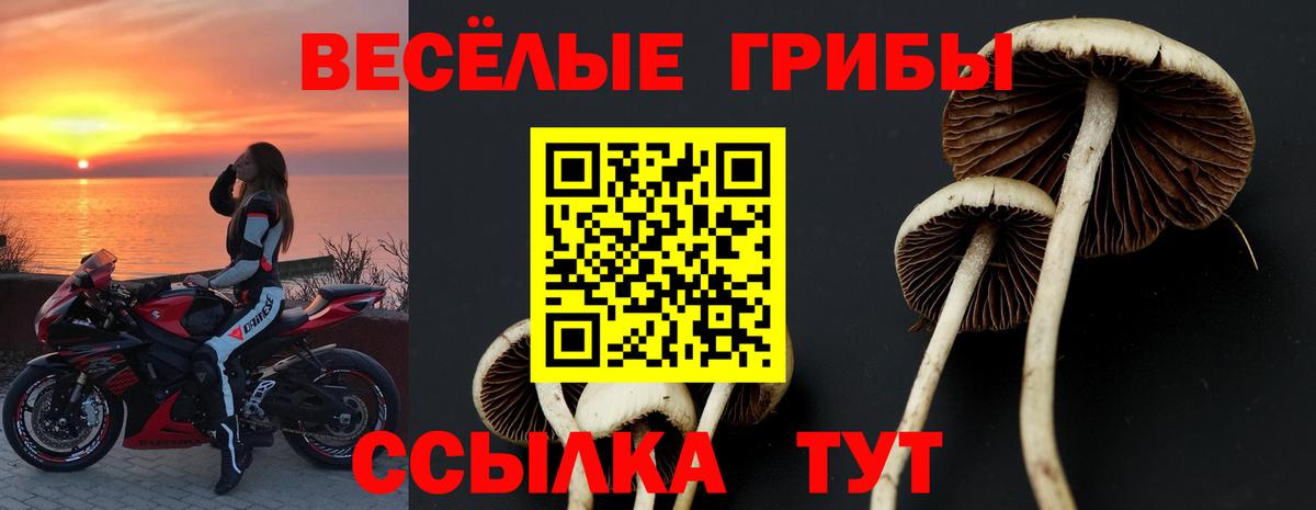 Псилоцибиновые грибы Отрадный