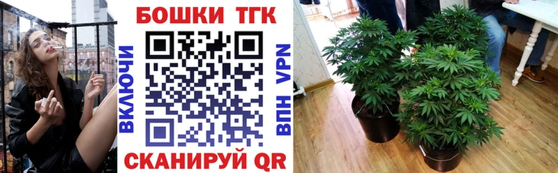 как найти   Отрадный  Шишки марихуана ГИДРОПОН 